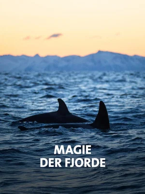 Постер: NORWAY´S MAGICAL FJORDS