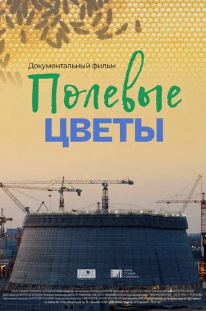 Постер: Полевые цветы