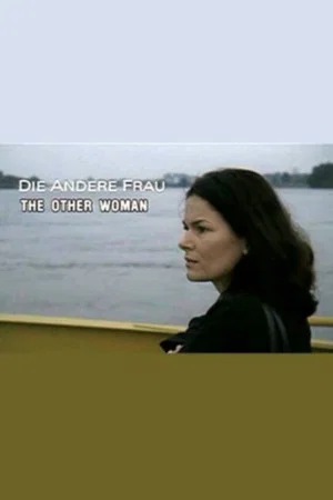 Постер: The Other Woman