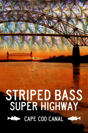 Постер: Striped Bass Super Highway: Cape Cod Canal