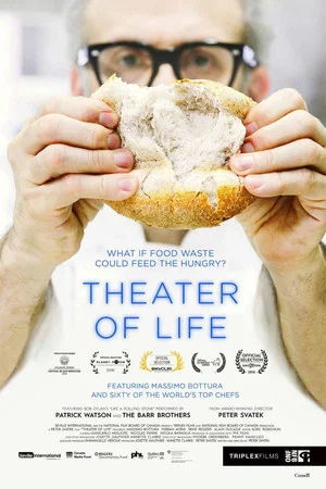 Постер: Theatre of Life