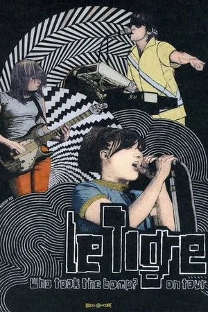 Постер: Who Took the Bomp? Le Tigre on Tour