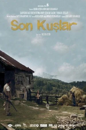 Постер: The Last Birds