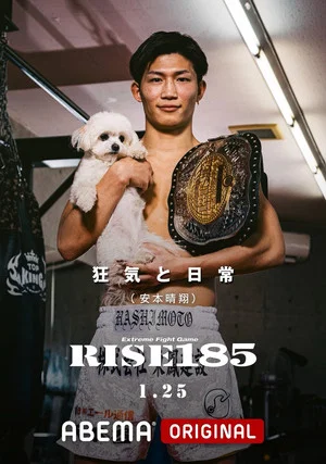 Постер: RISE 185