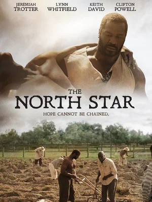 Постер: The North Star