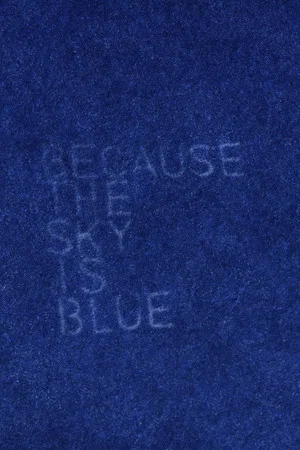 Постер: Because the Sky is Blue