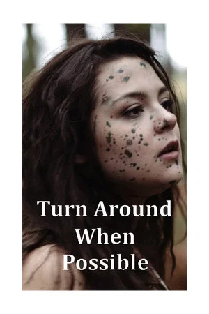 Постер: Turn Around When Possible