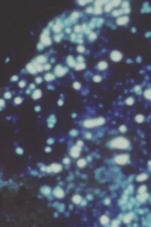 Постер: Song 21