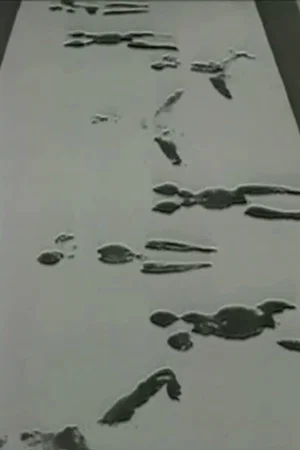 Постер: Anthropometries of the Blue Period and Fire Paintings
