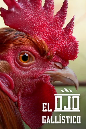 Постер: Through the Gaze of the Cockfighter