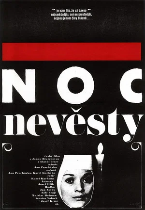 Постер: The Nun's Night