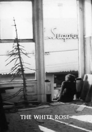 Постер: The White Rose