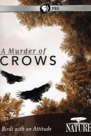 Постер: A Murder of Crows