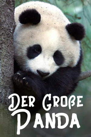 Постер: The Giant Panda