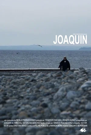 Постер: Joaquín
