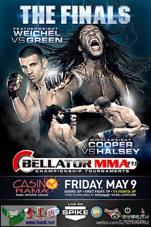Постер: Bellator 119