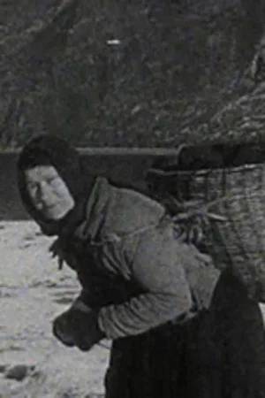 Постер: A Crofter's Life in the Shetlands