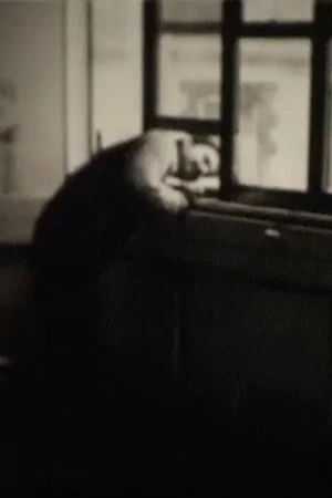 Постер: The Last Films of Humphrey Esterhase