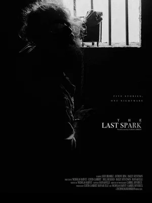 Постер: The Last Spark