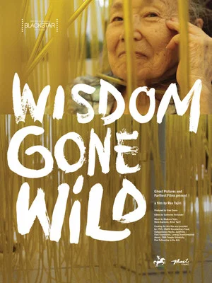 Постер: Wisdom Gone Wild