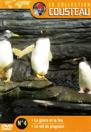 Постер: The Cousteau Collection N°4-2 | The Flight of the Penguin