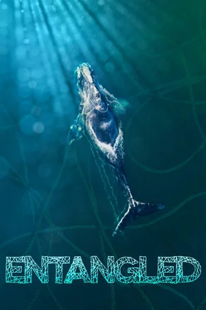 Постер: Entangled