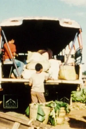 Постер: Fragments of a Journey to Laos