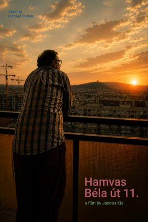 Постер: Hamvas Béla út 11.