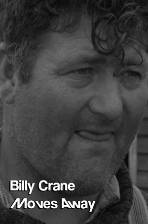 Постер: Billy Crane Moves Away