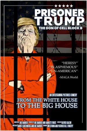 Постер: Prisoner Trump: The Don of Cell Block B
