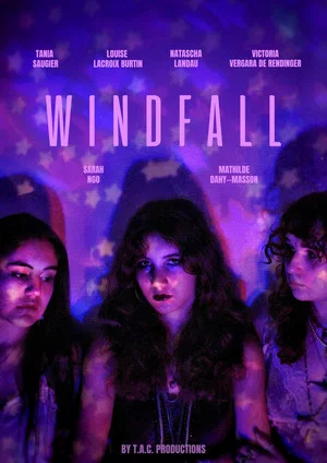 Постер: WINDFALL