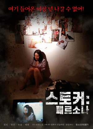 Постер: Stalker: Persona