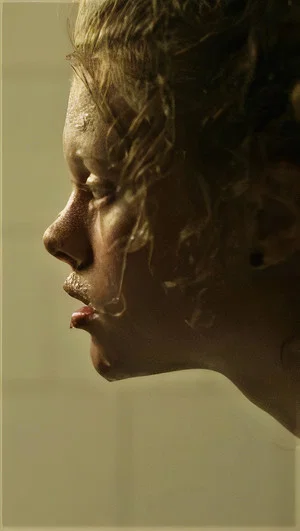 Постер: The Kestrels
