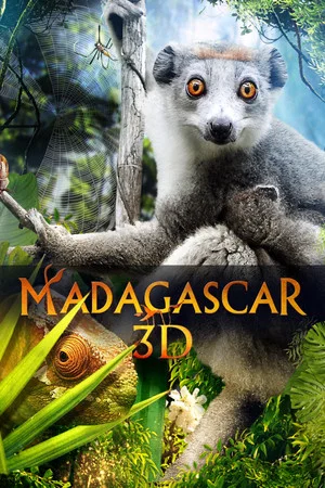 Постер: Madagascar 3D
