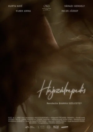 Постер: Craze