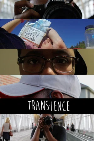 Постер: Trans-ience