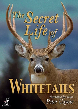 Постер: The Secret Life of Whitetails