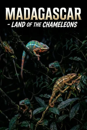 Постер: Madagascar: Land of the Chameleons