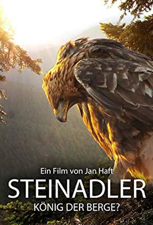 Постер: Steinadler - König der Berge