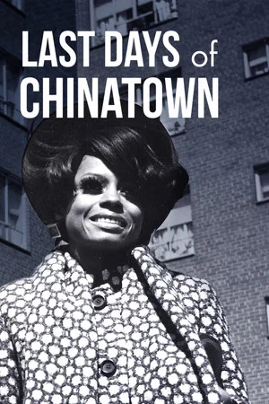 Постер: Last Days of Chinatown