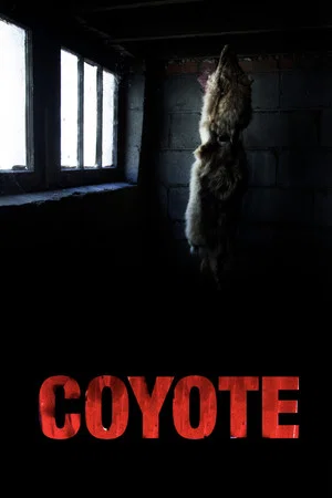 Постер: Coyote