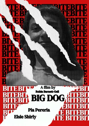 Постер: Big Dog