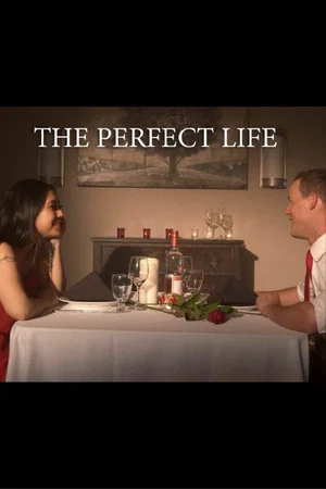 Постер: The Perfect Life