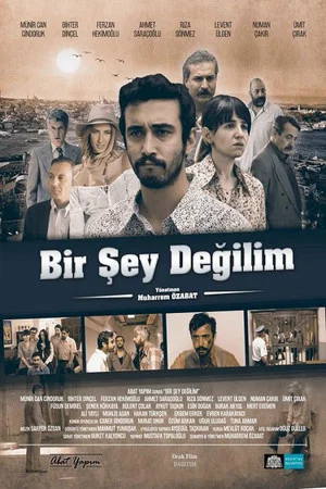 Постер: Bir Şey Değilim