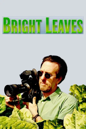 Постер: Bright Leaves
