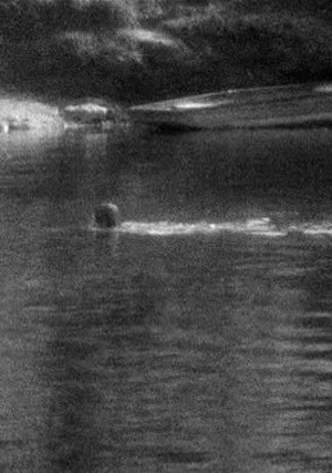 Постер: Swimming