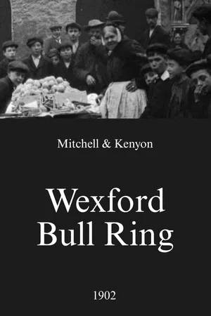 Постер: Wexford Bull Ring