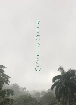 Постер: Return