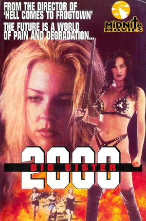 Постер: Big Sister 2000