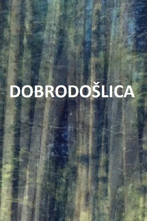 Постер: The Welcome.